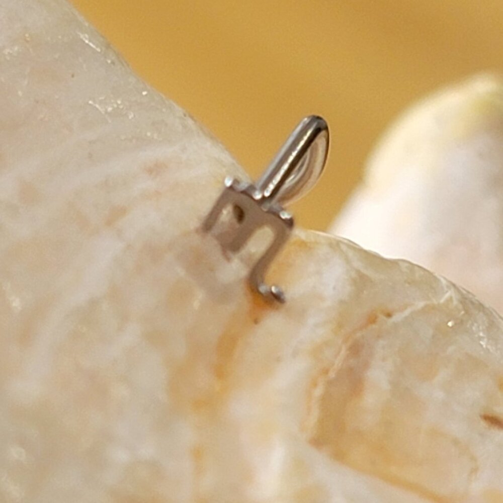 20G Scorpio nose screw nostril piercing zodiac jewelry November birthday